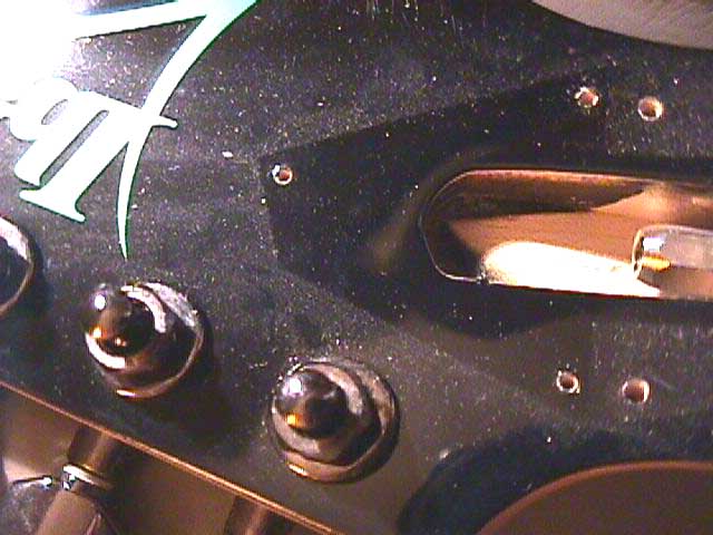 head_close.jpg (48328 bytes)